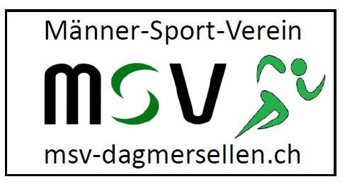 msv logo.JPG